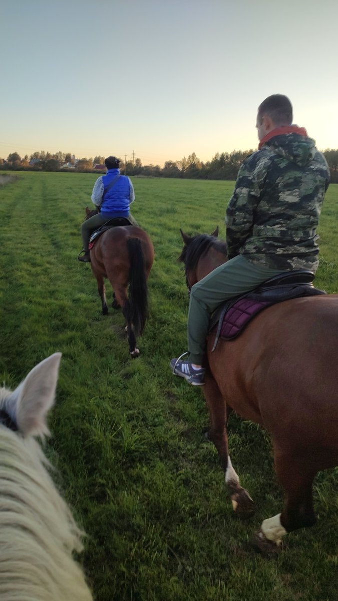 IMG-20250925-WA0013.jpeg