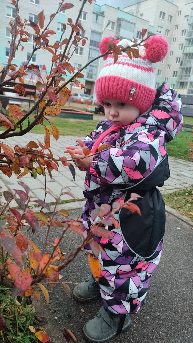 IMG-20251012-WA0045.jpeg