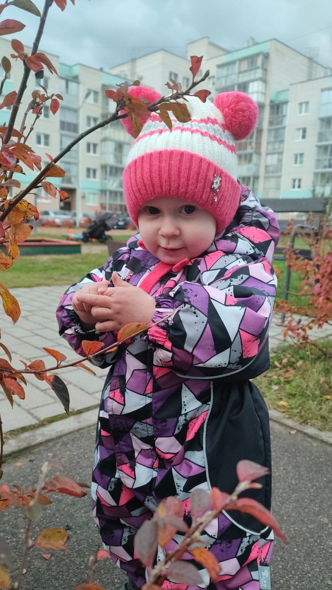 IMG-20251012-WA0049.jpeg