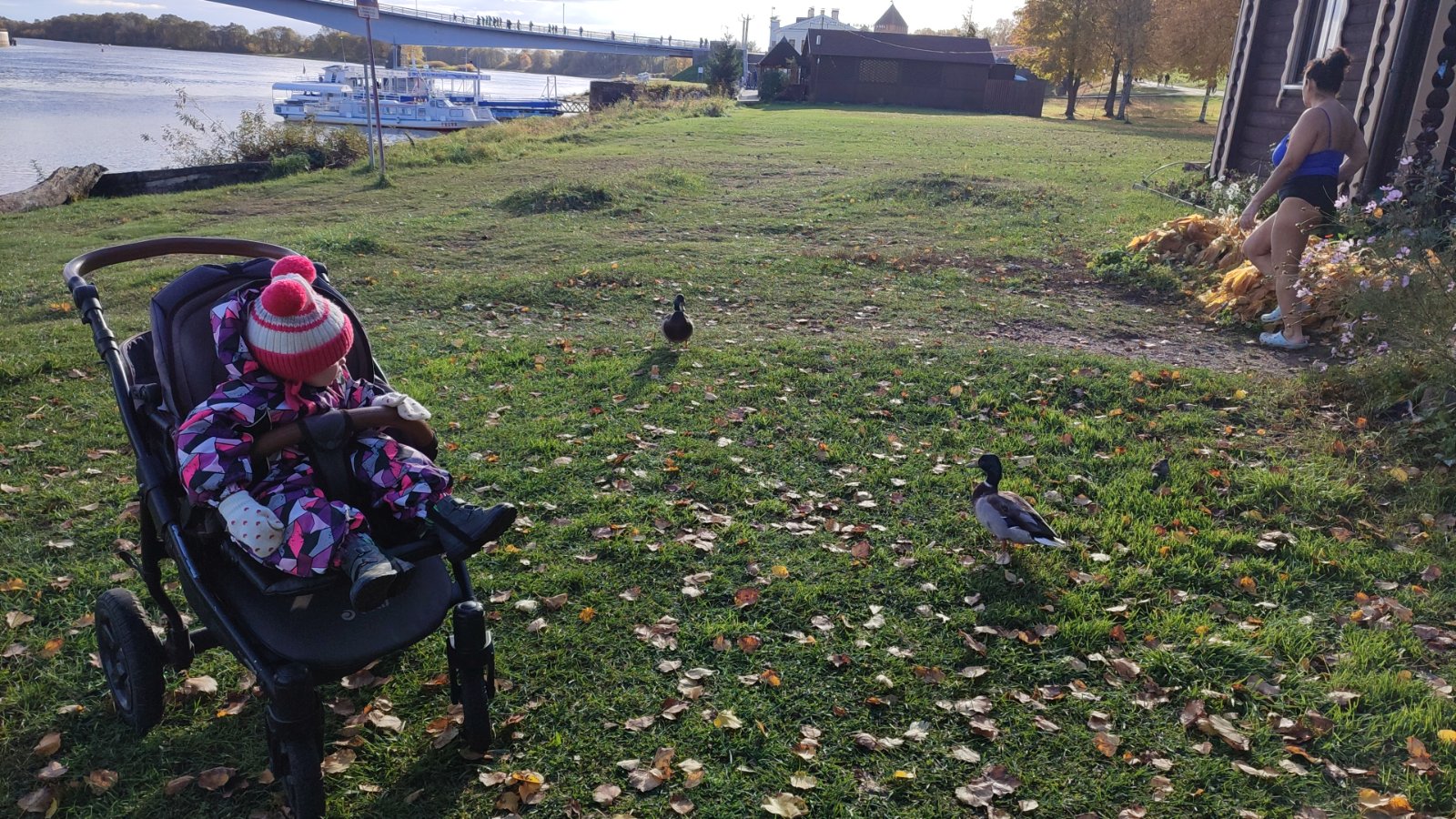 IMG-20251017-WA0042.jpeg