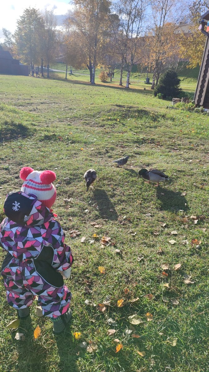 IMG-20251017-WA0050.jpeg