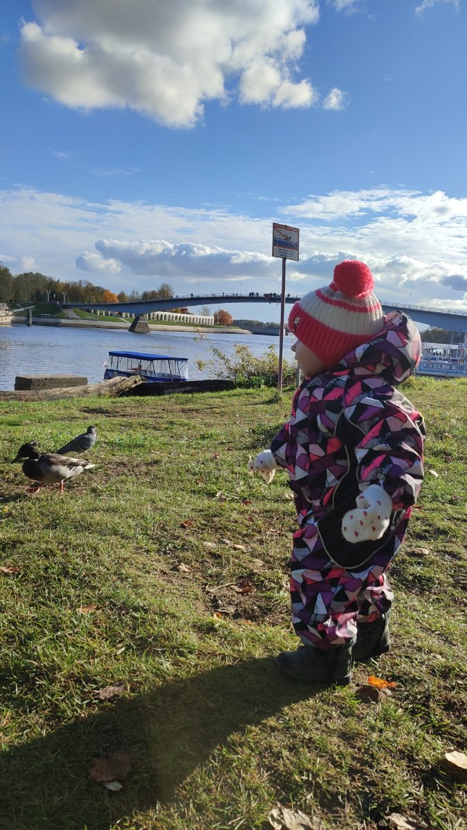 IMG-20251017-WA0054.jpeg