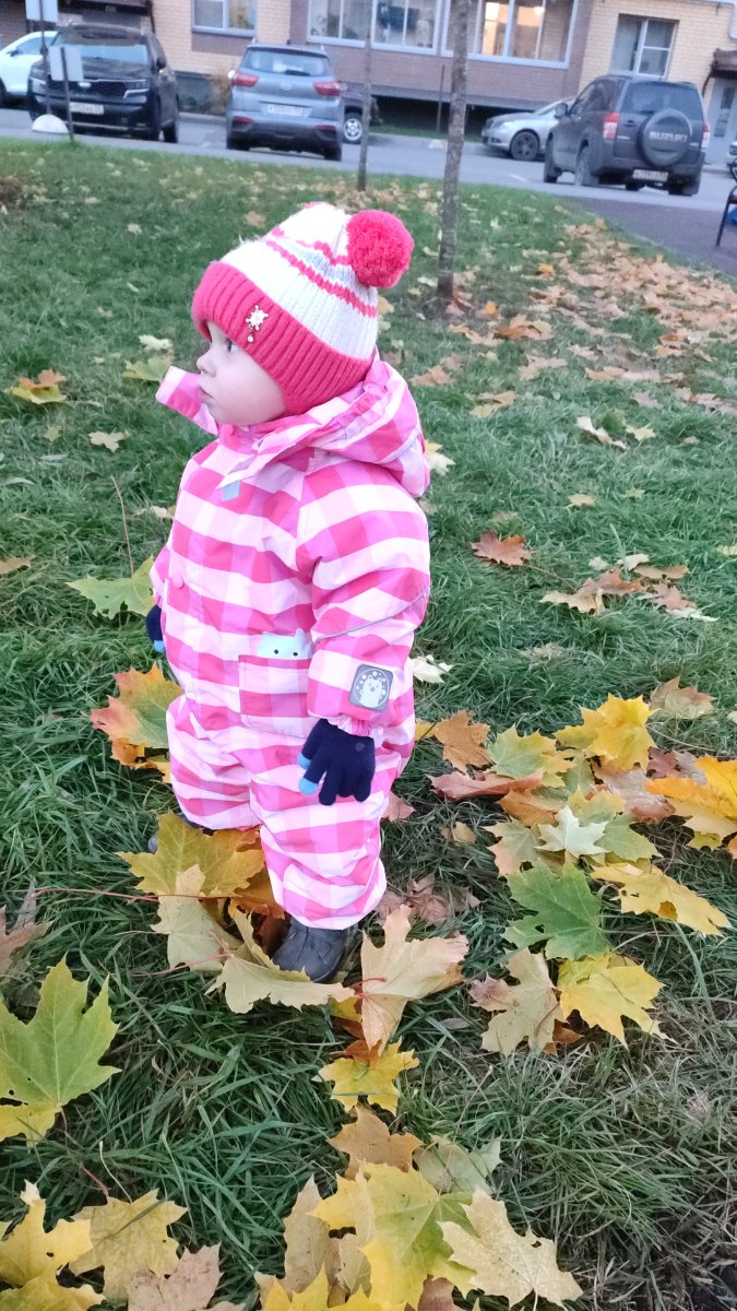 IMG-20251019-WA0052.jpeg