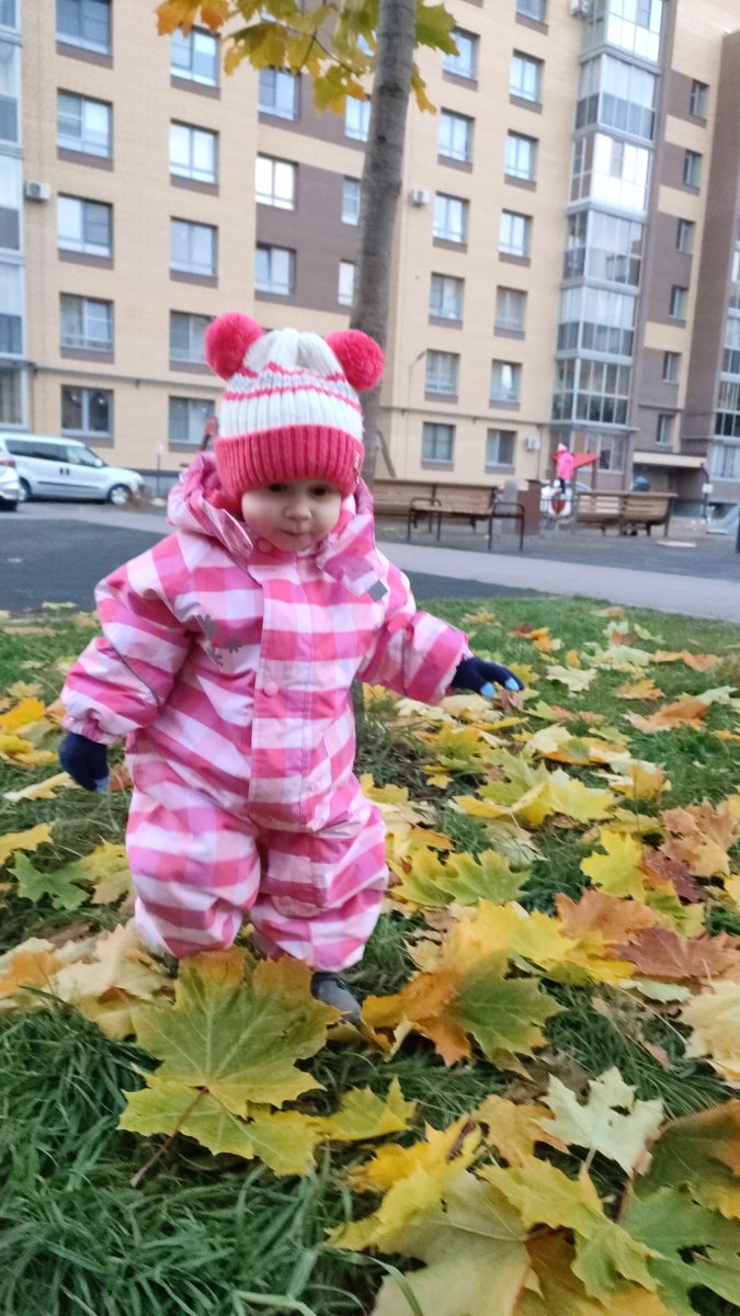 IMG-20251019-WA0054.jpeg