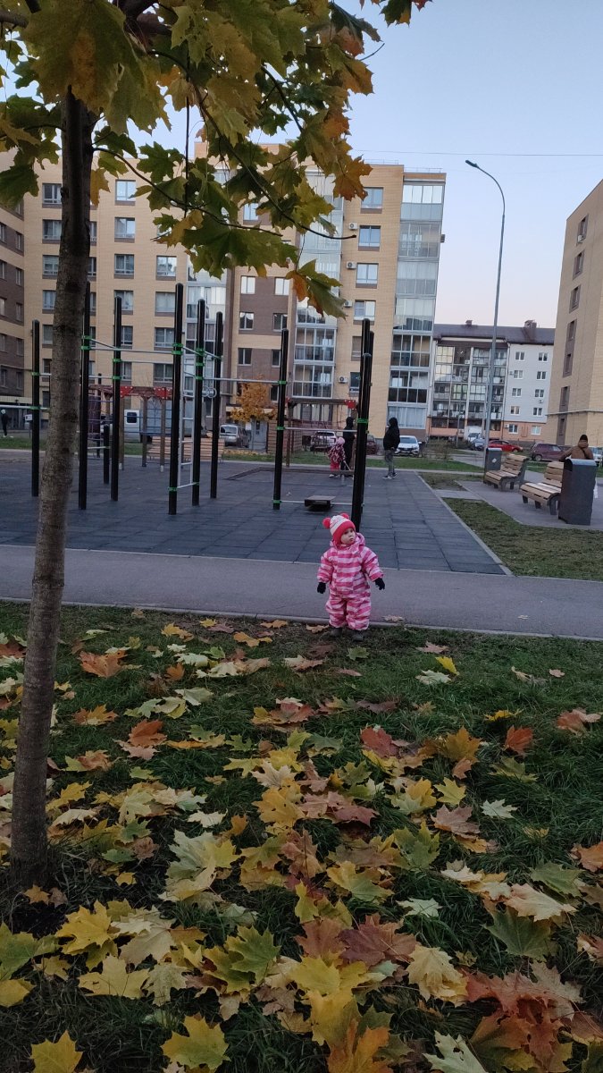 IMG-20251019-WA0058.jpeg