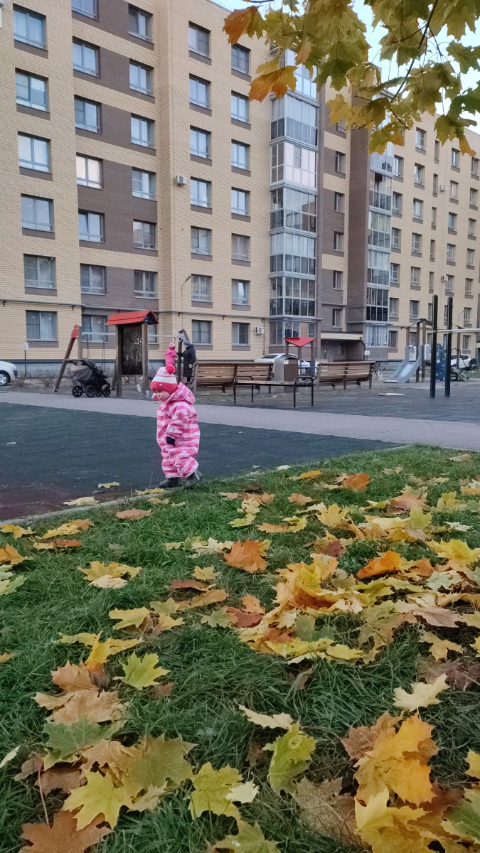 IMG-20251019-WA0061.jpeg