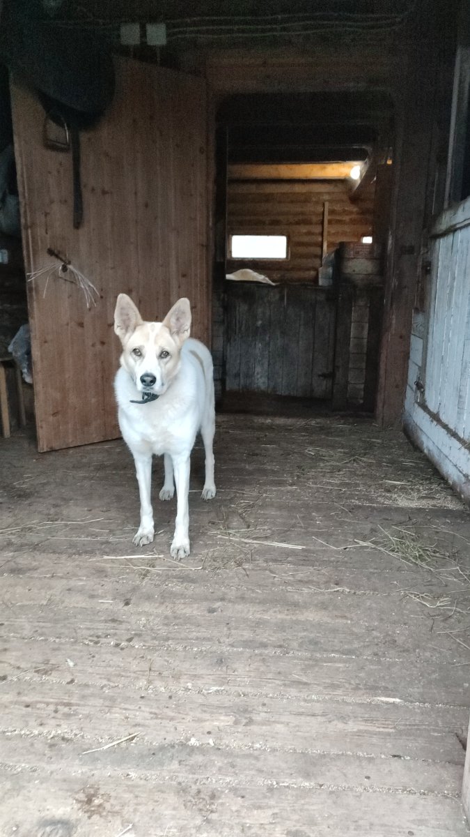 IMG-20251025-WA0116.jpeg