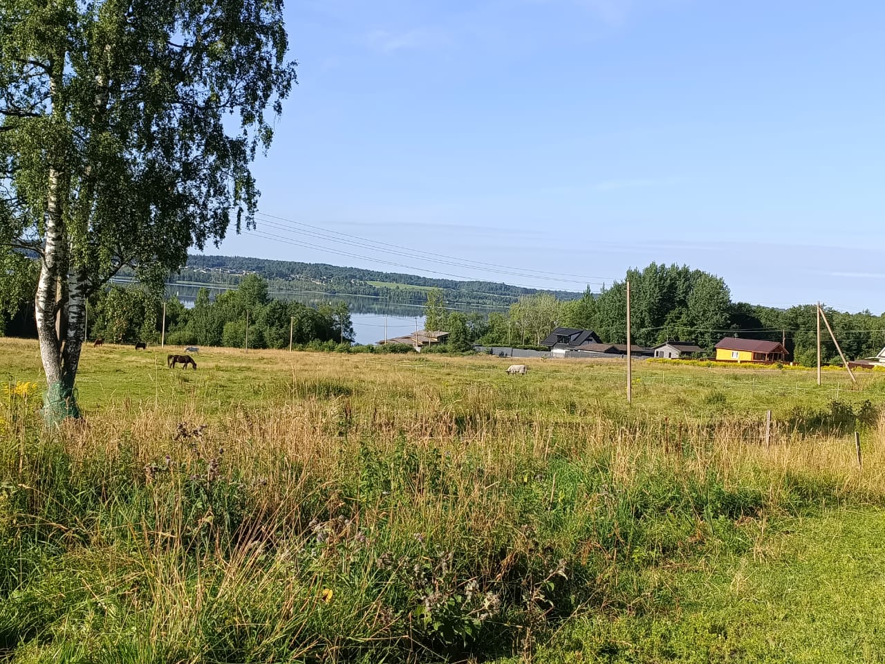 IMG-20260731-WA0002.jpg