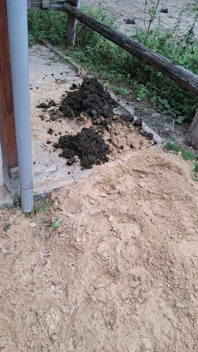 IMG-20260908-WA0003.jpeg