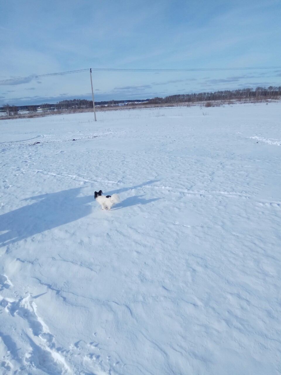 IMG-3b07271d355a7db7ae13e269e663fb64-V.jpg