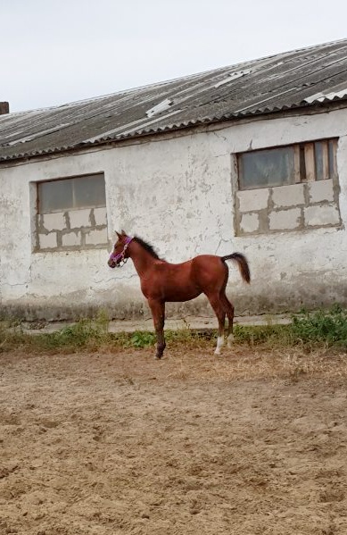 IMG-862cf5ad9979be85fb6da0f892123737-V-01.jpeg
