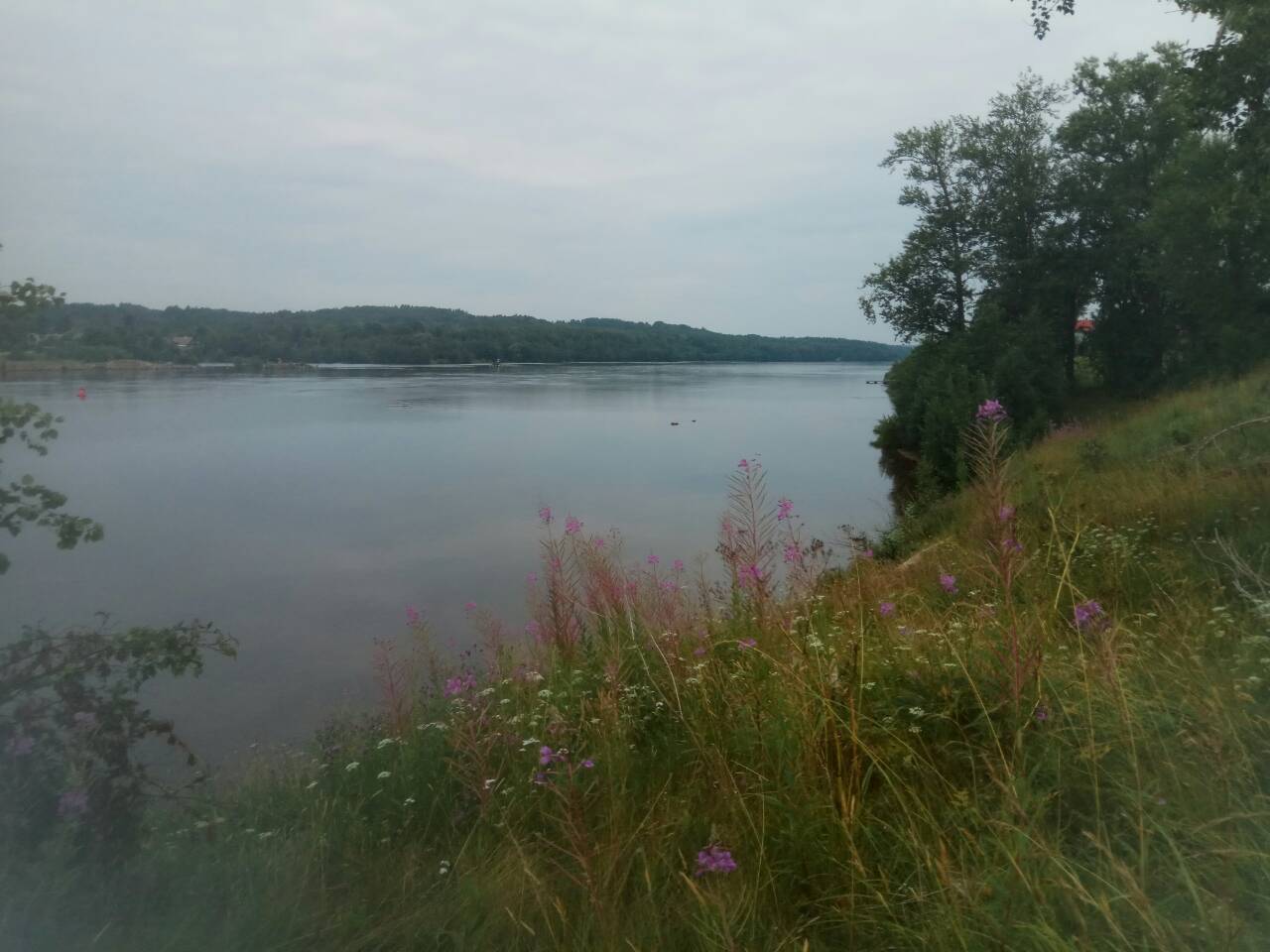 IMG-e2d3817b1d9962c2ad154105e9a518ca-V.jpg