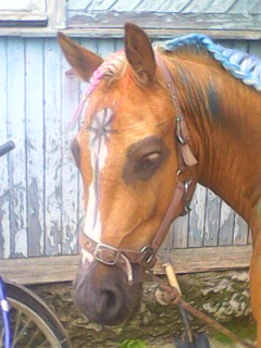IMG0103A.jpg