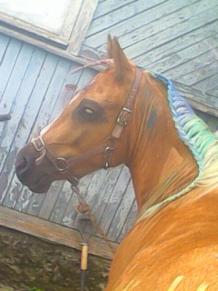 IMG0107A.jpg