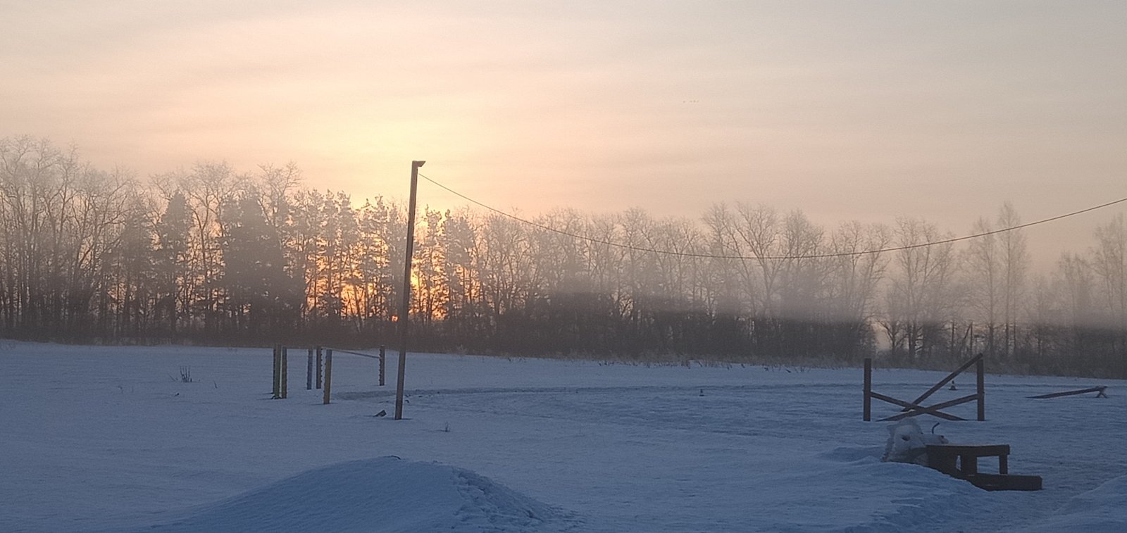 IMG20220312073828.jpg