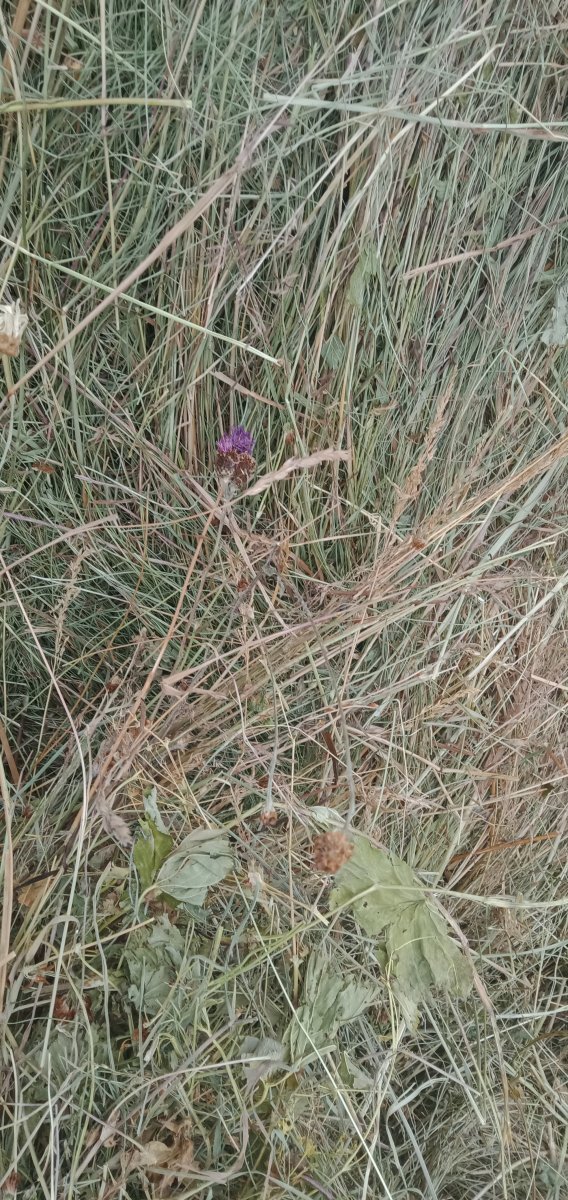 IMG20220330140807.jpg
