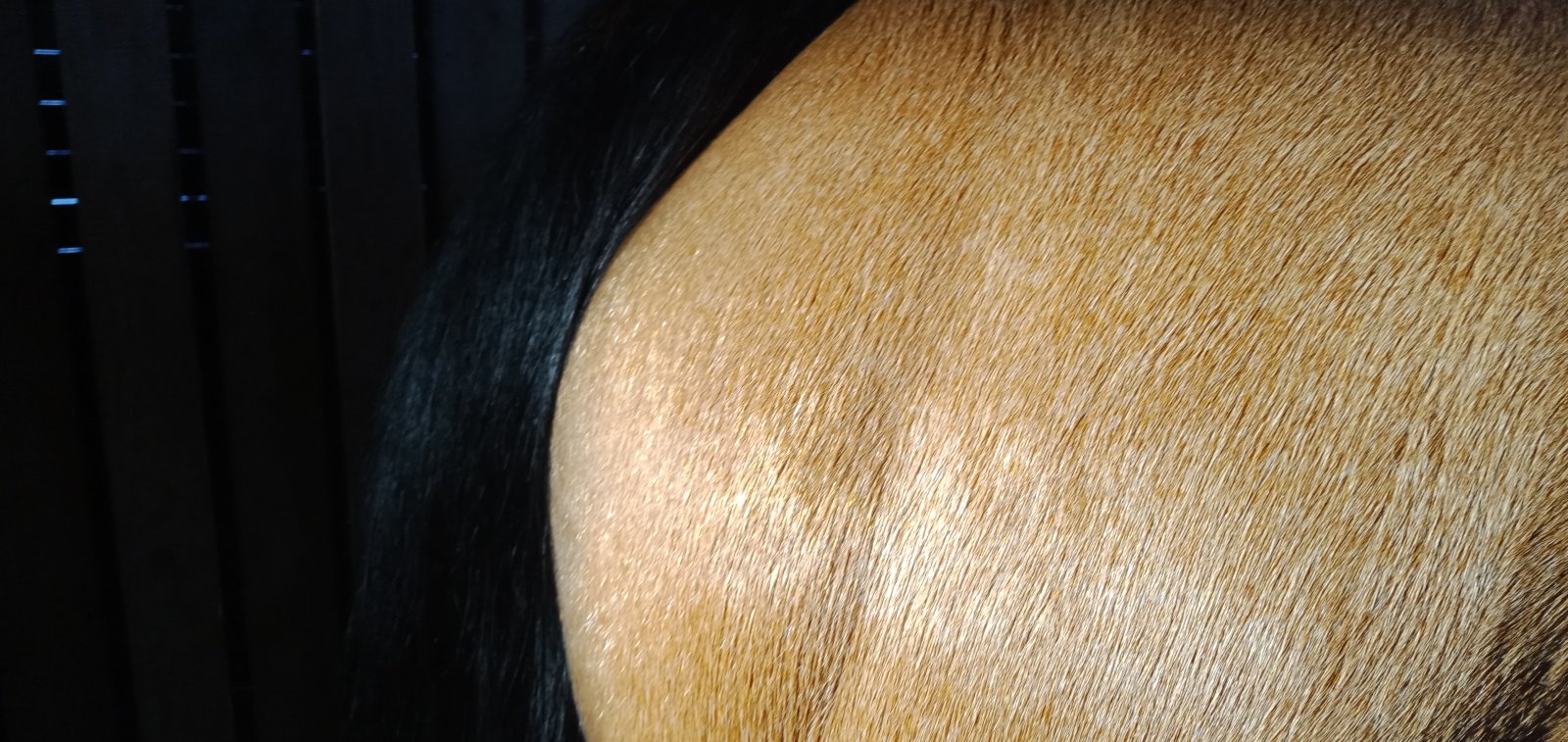 IMG20221009165110.jpg
