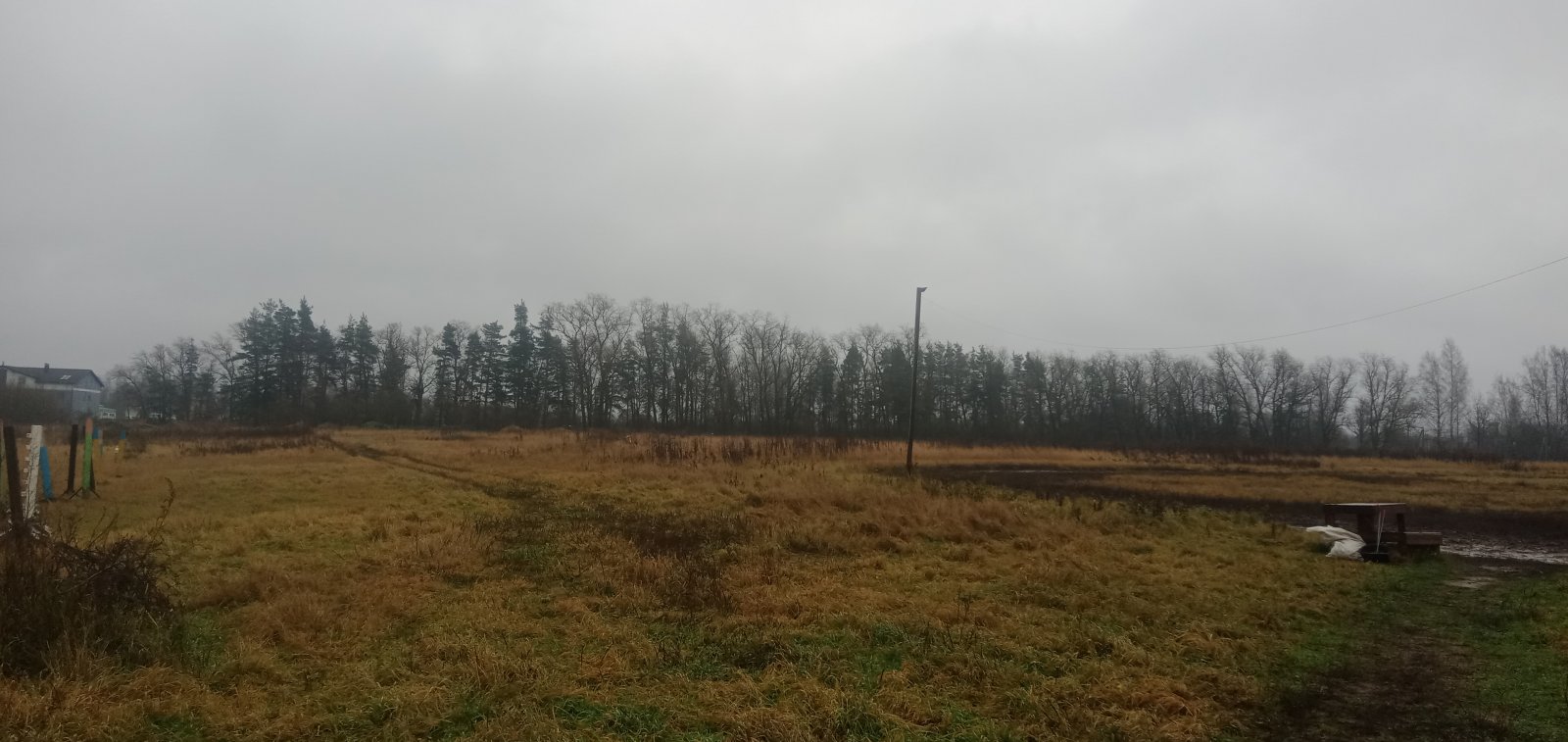 IMG20221110112216.jpg