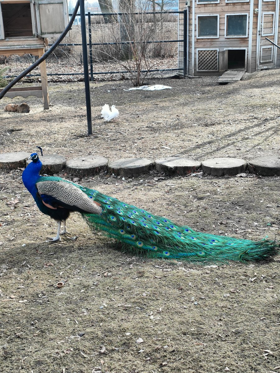 IMG20230411161821.jpg