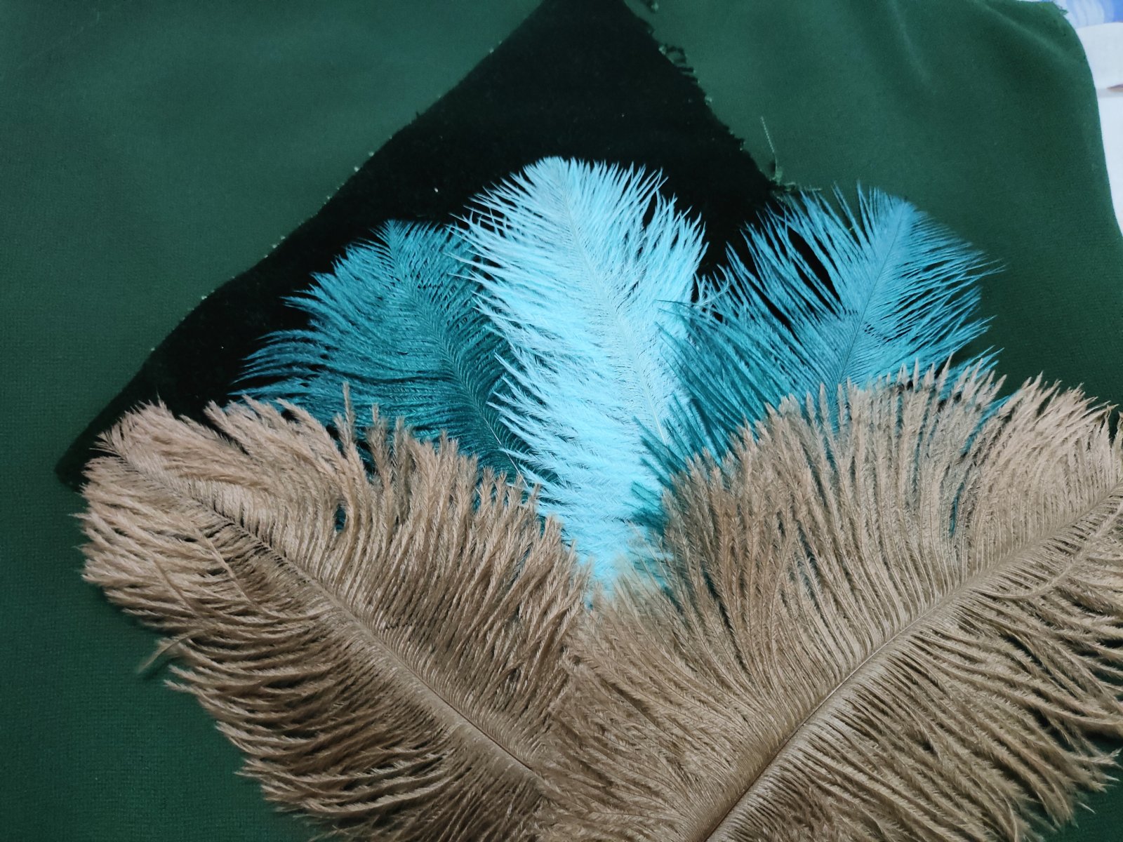 IMG20230424201239.jpg