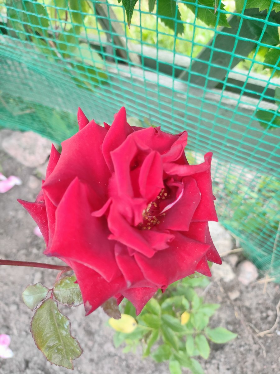 IMG20230724203239.jpg