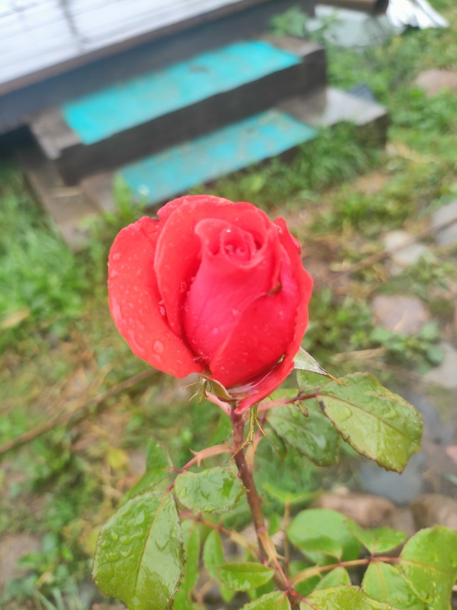 IMG20230728132553.jpg
