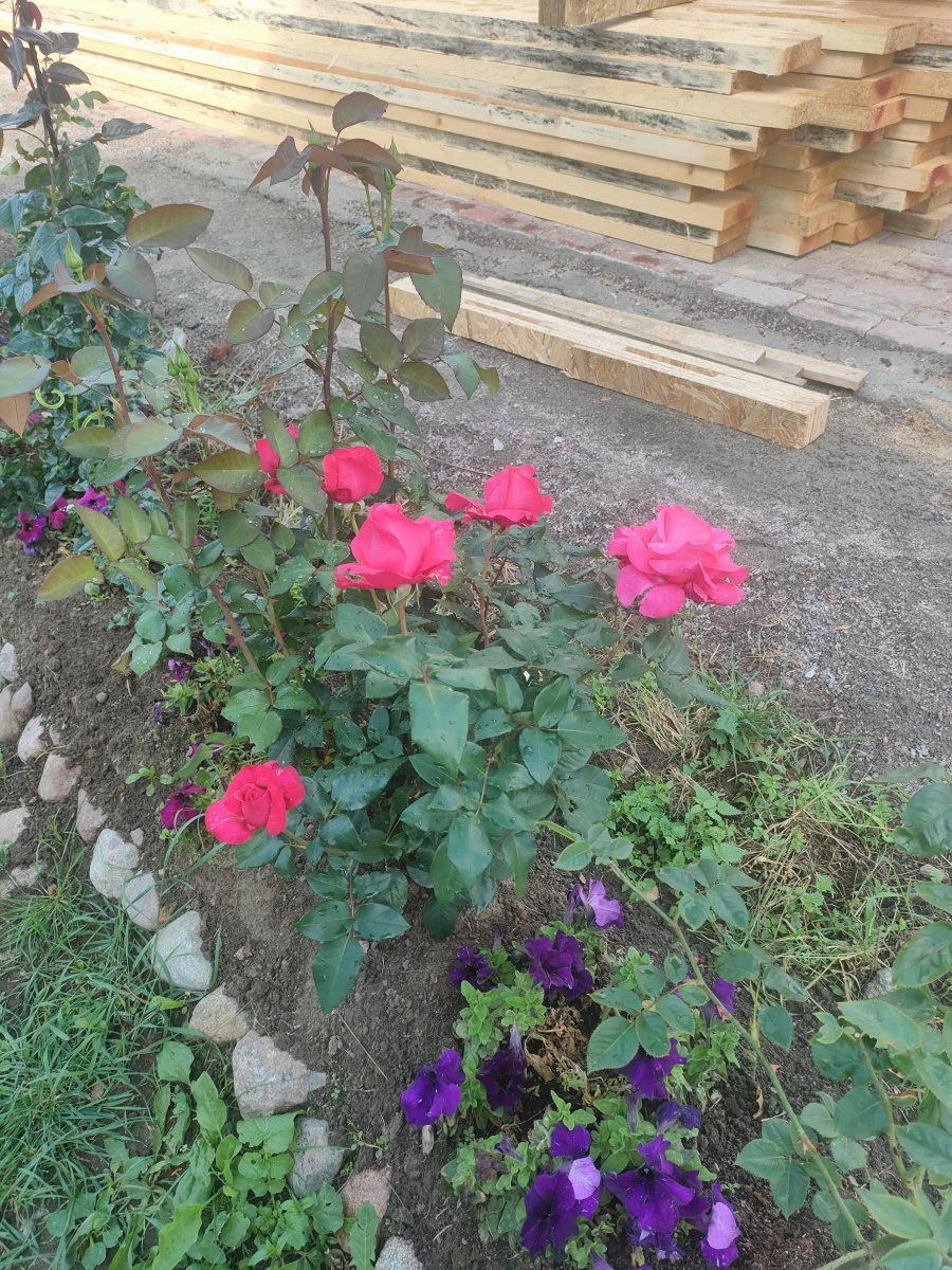 IMG20230817113940.jpg