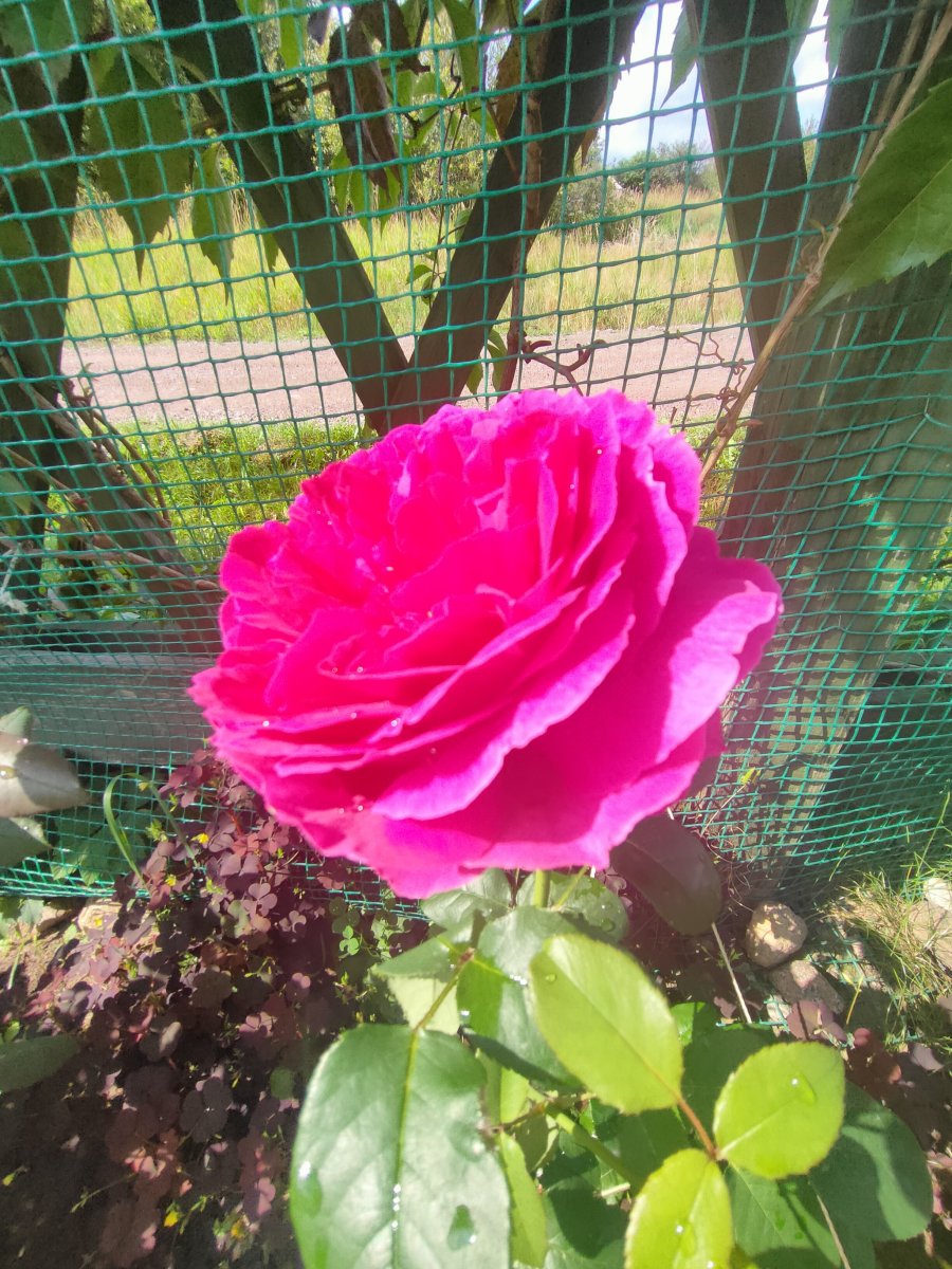 IMG20230817114119.jpg