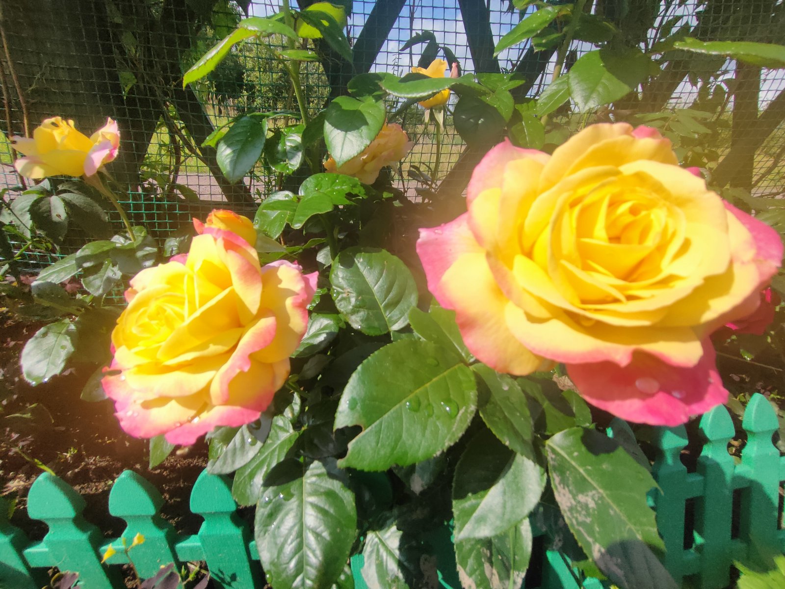 IMG20230817114142.jpg