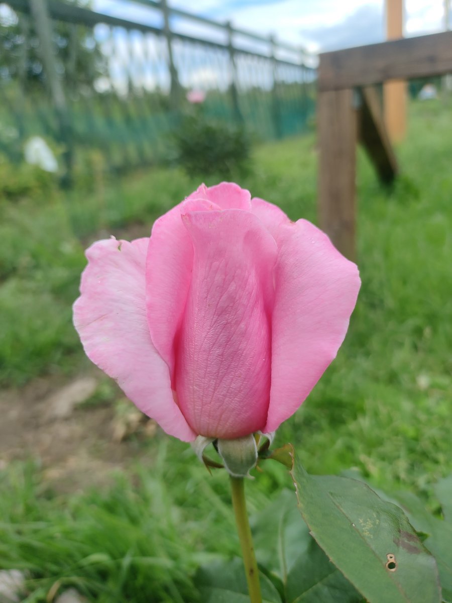 IMG20240624153407.jpg