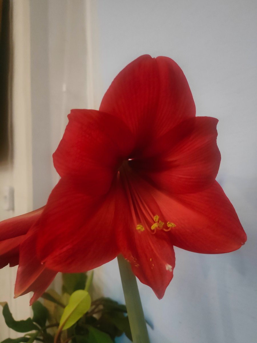 IMG20250314193336.jpg