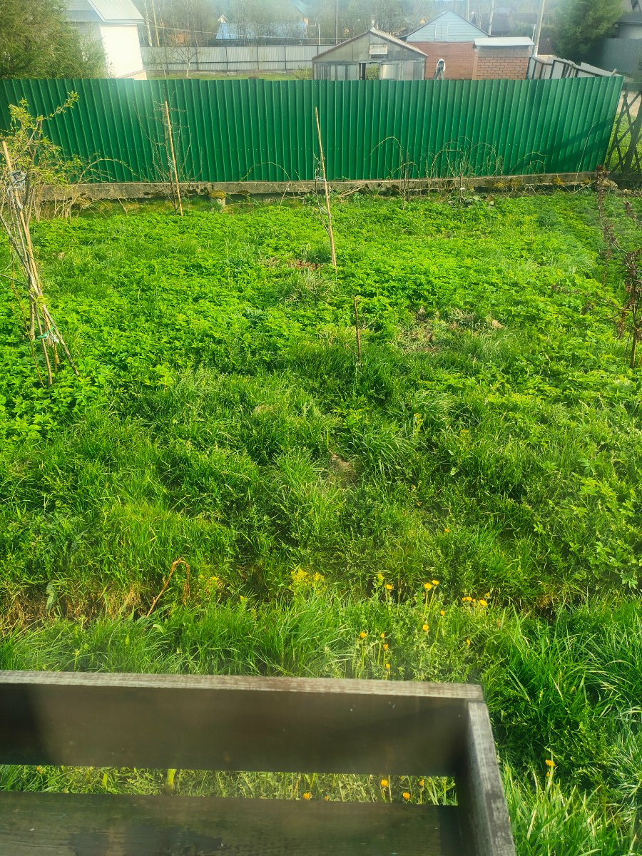 IMG20250516175929.jpg