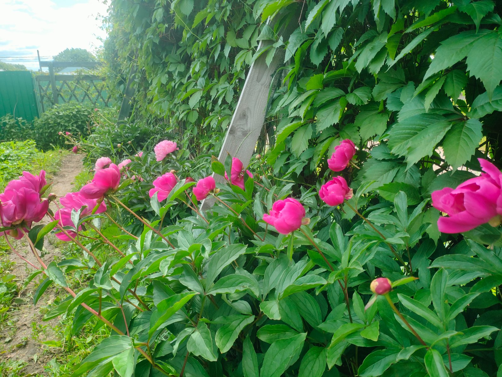 IMG20250701132829.jpg