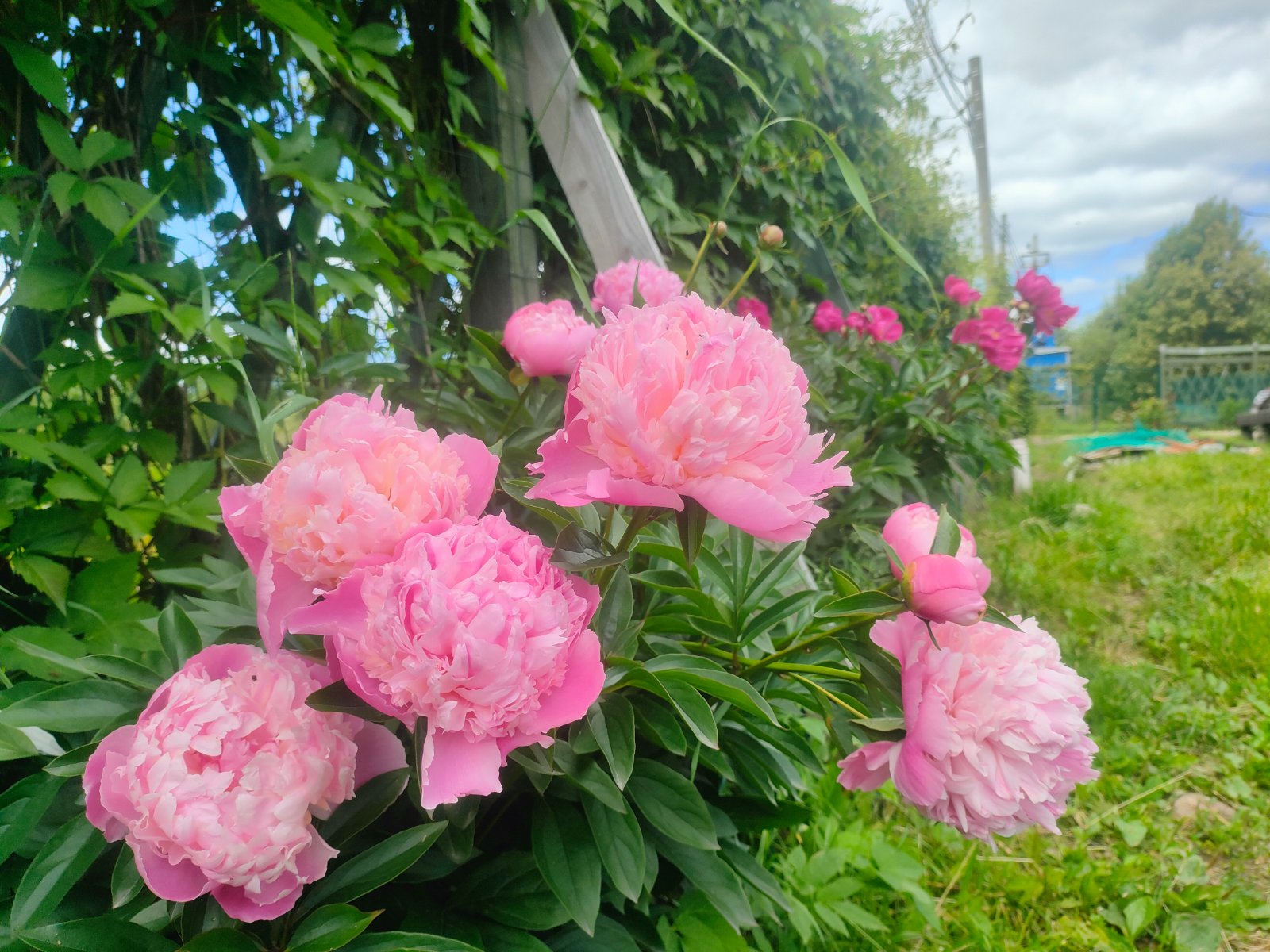 IMG20250701132915.jpg