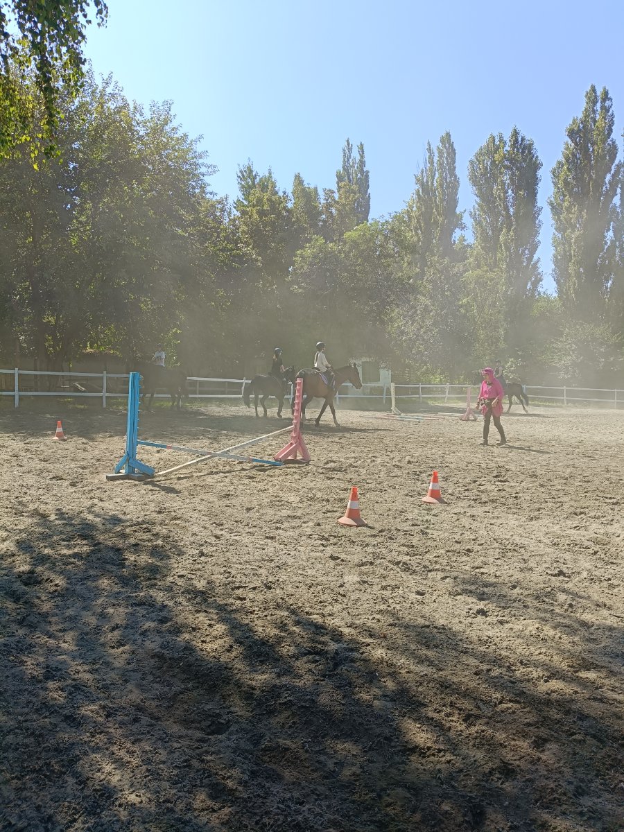 IMG20250716094603.jpg