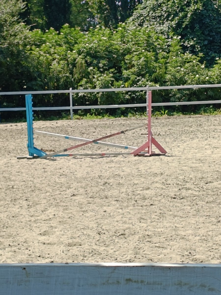 IMG20250717110839.jpg