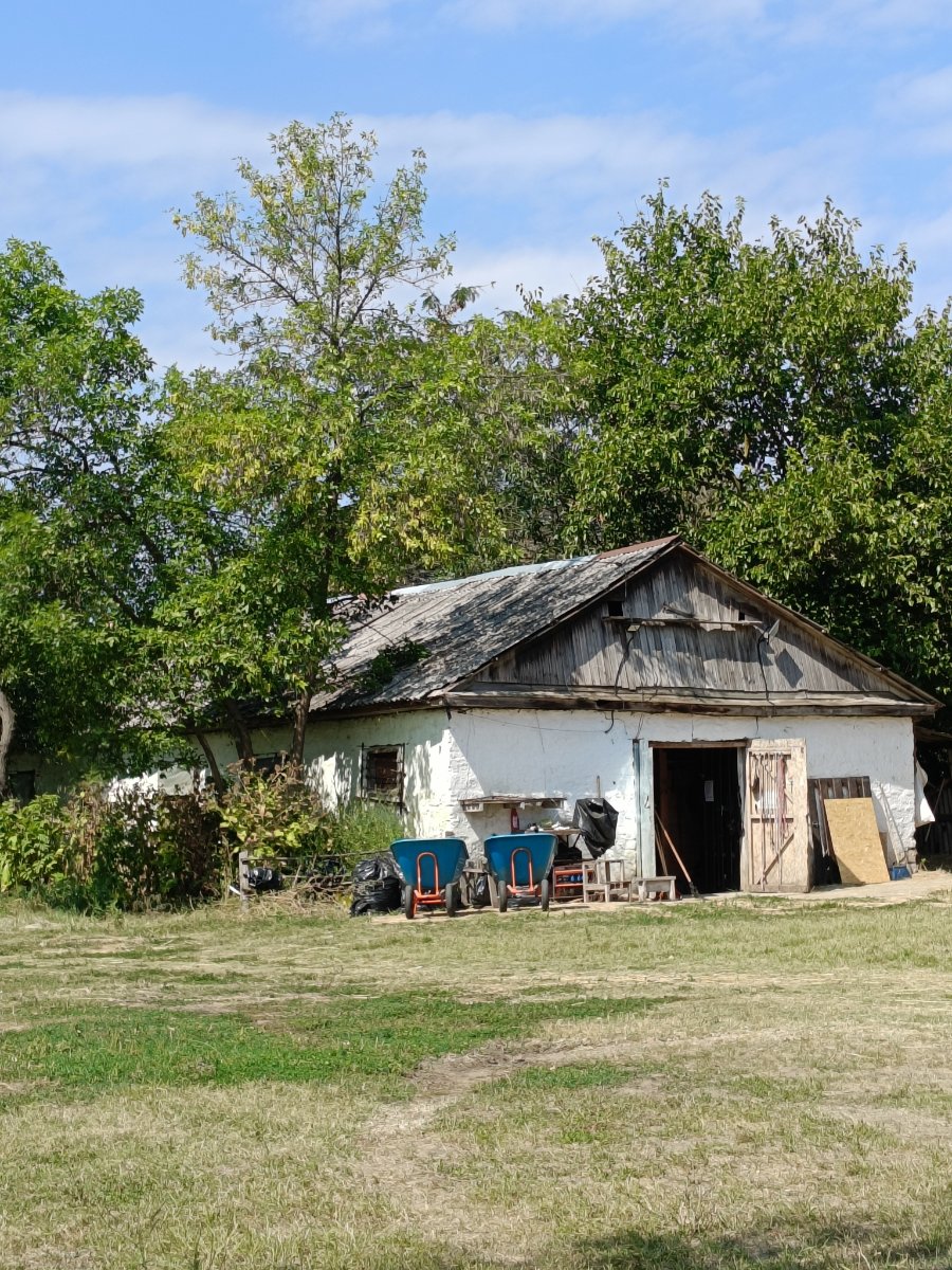 IMG20250826121834.jpg