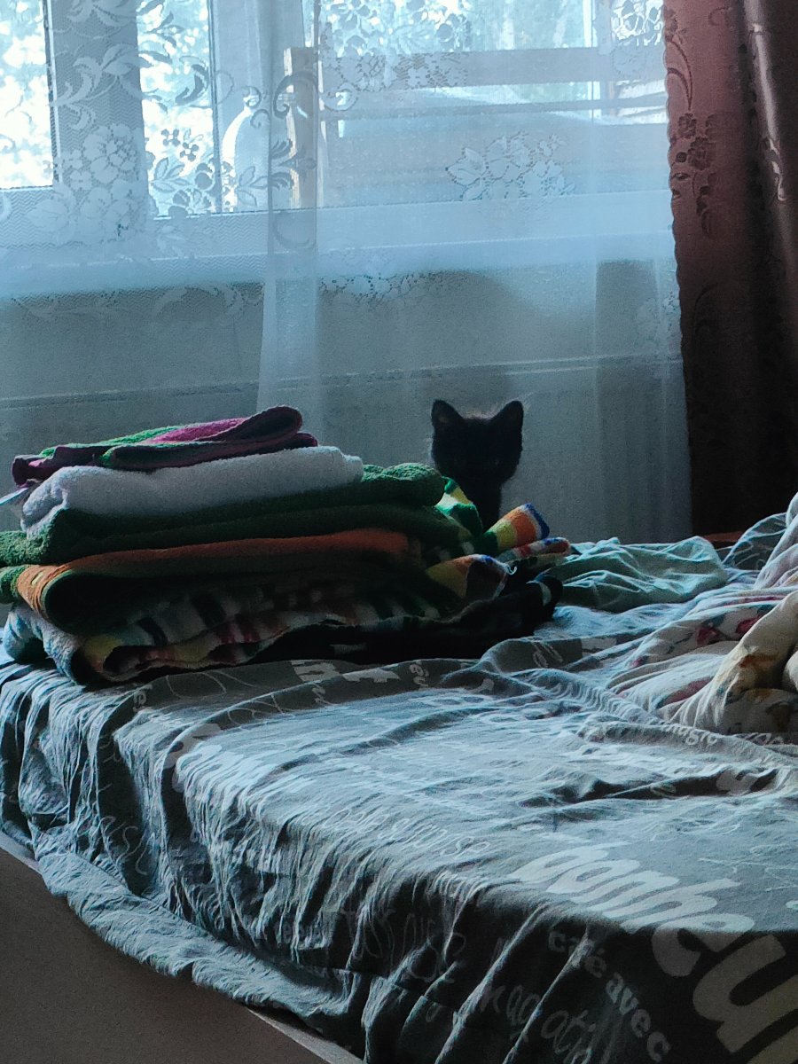 IMG20250909101602.jpg