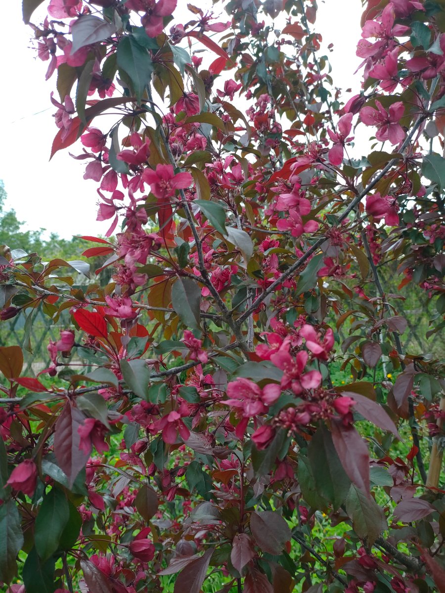 IMG20260527164731.jpg