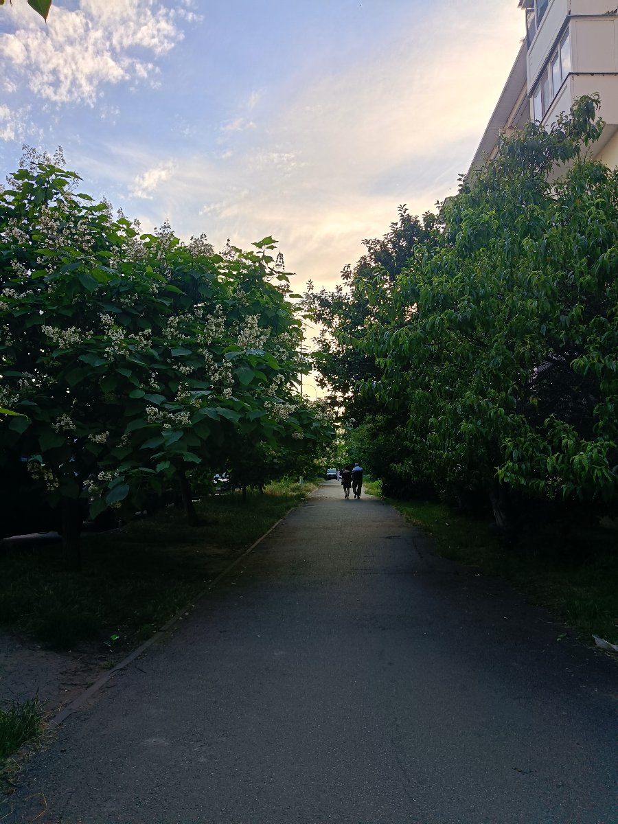 IMG20260619184820.jpg