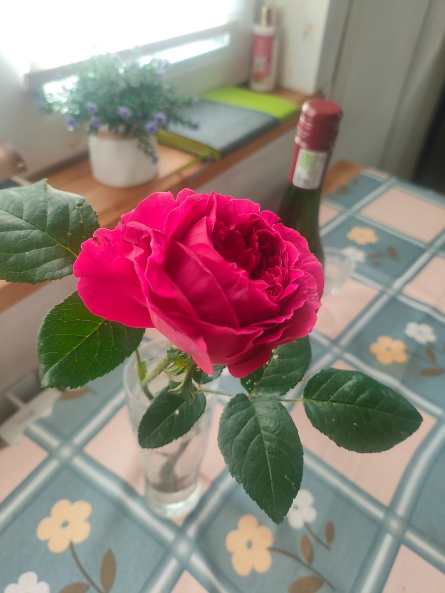 IMG20260619192420.jpg