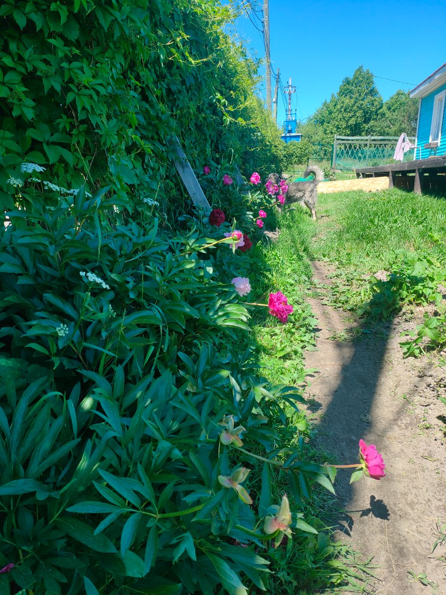 IMG20260622133216.jpg