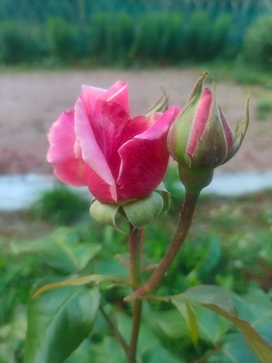 IMG20260629175933.jpg