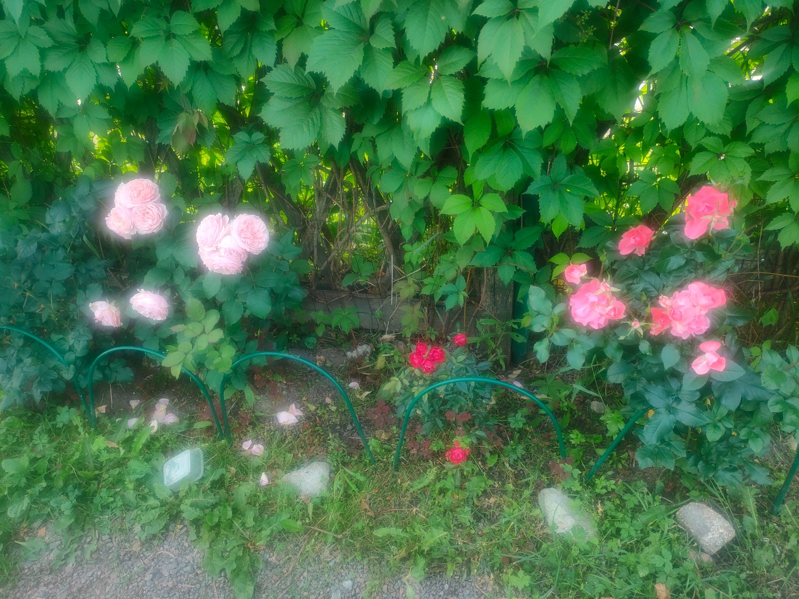 IMG20260715164305.jpg
