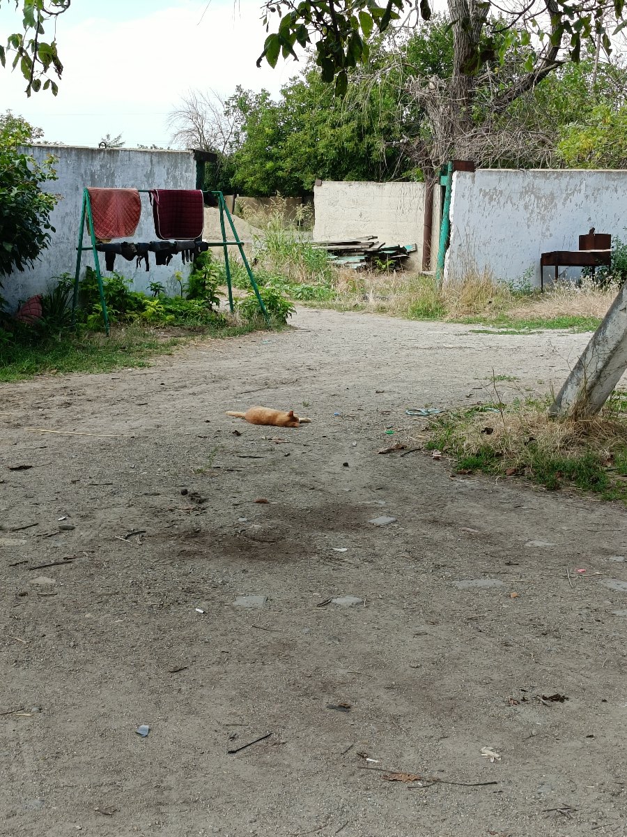 IMG20260808133837.jpg