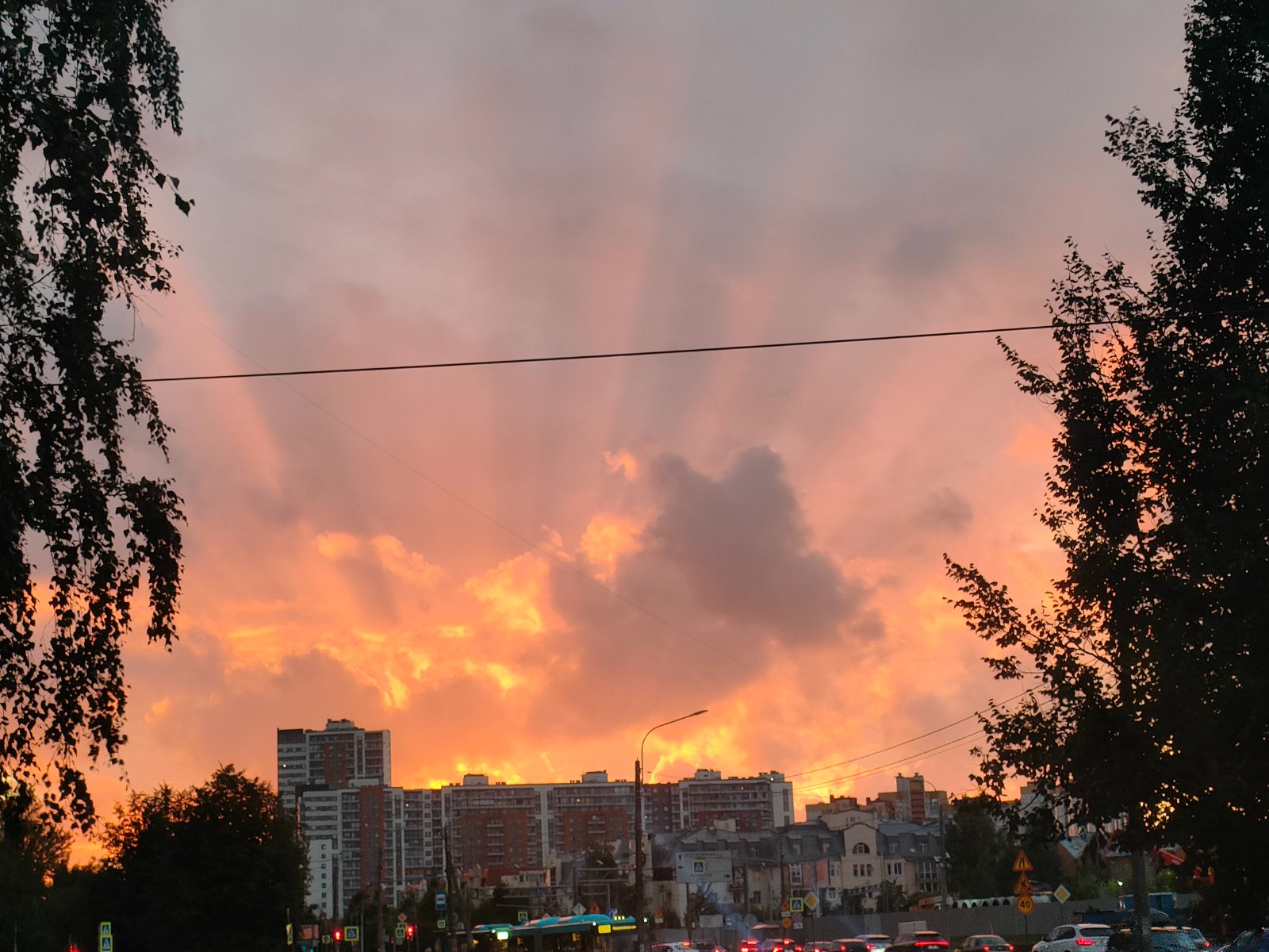 IMG20260819203155.jpg