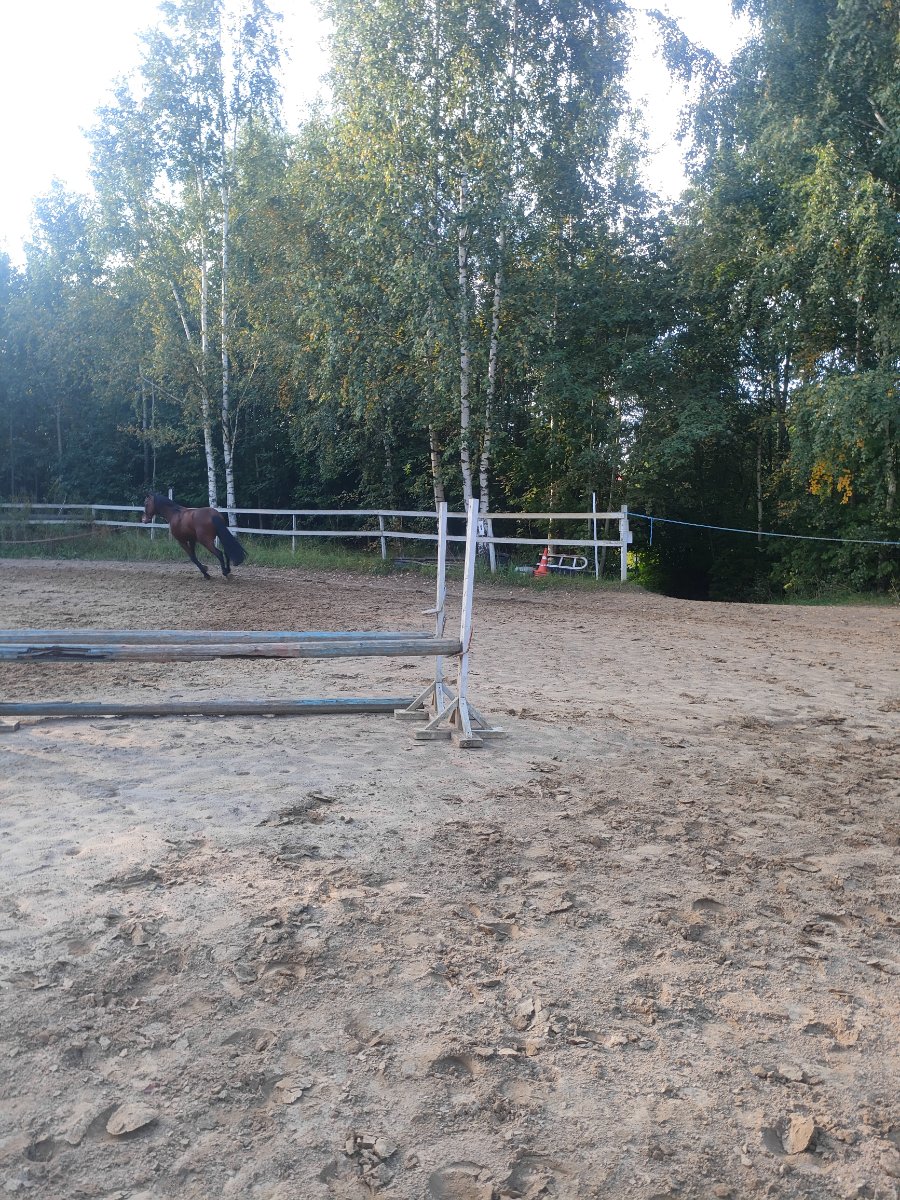 IMG20260905172809.jpg