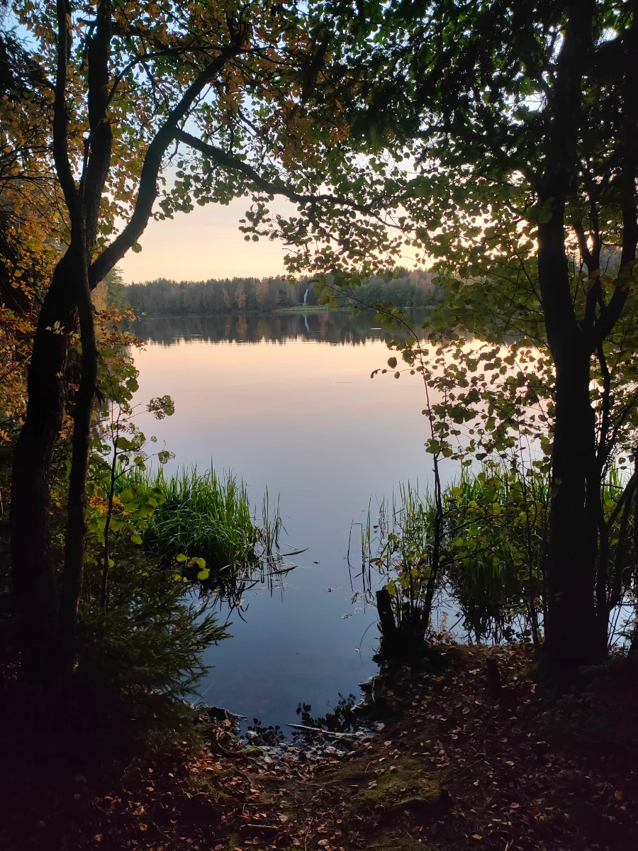 IMG20260930183200.webp