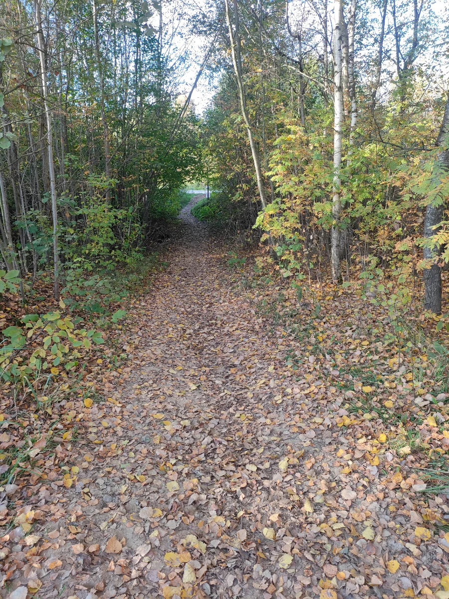 IMG20261003151837.webp