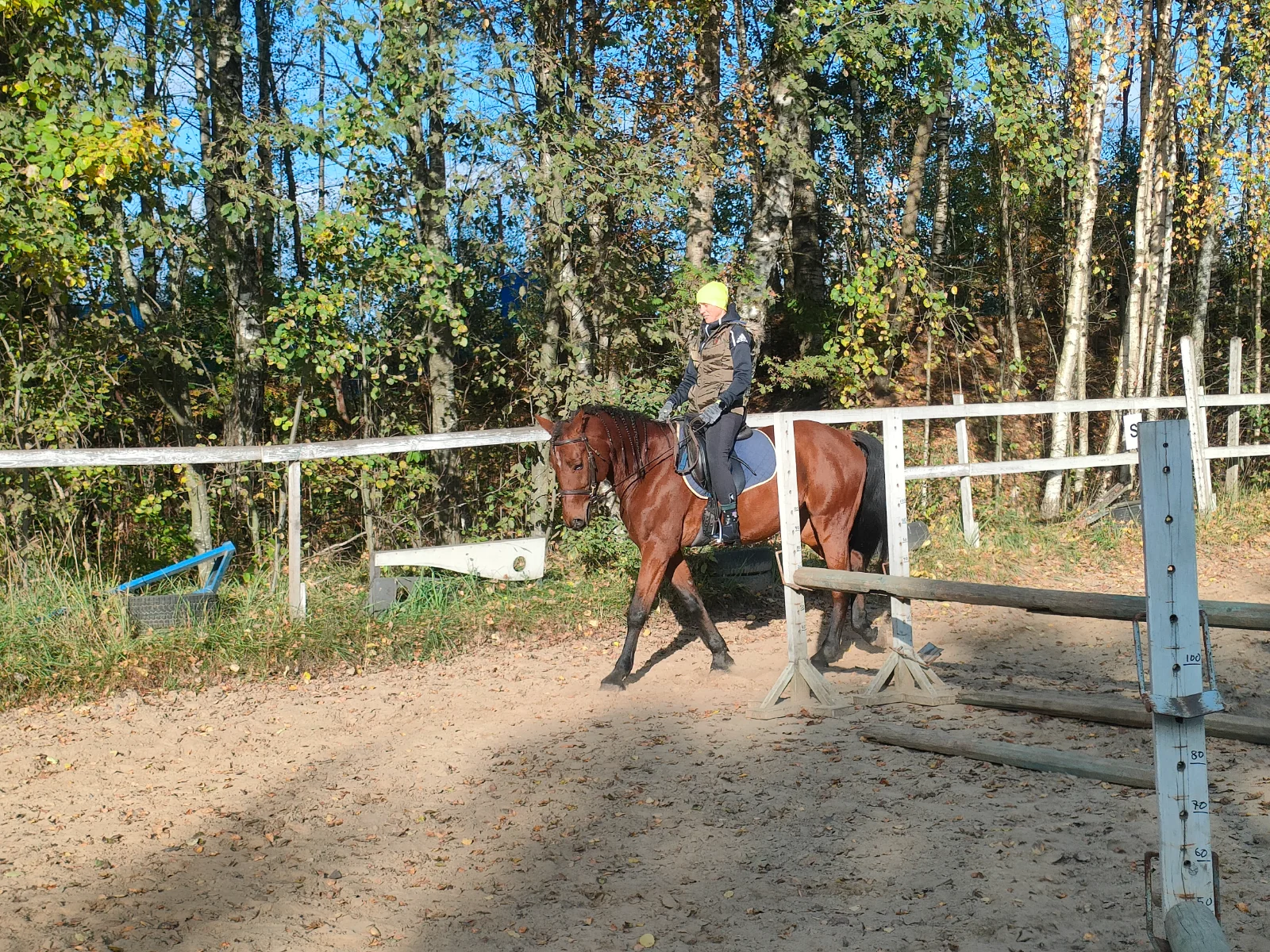 IMG20261003152455.webp